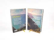 Buchcover und Innenansicht für das Buch: (The Pursuit of) The Well-Beloved