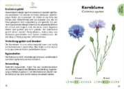 Buchcover und Innenansicht für das Buch: Le Petit guide des plantes médicinales