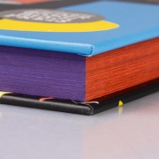 Buchcover und Innenansicht für das Buch: Spinne spielt Klavier