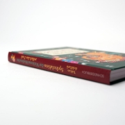 Buchcover und Innenansicht für das Buch: Spekulatius, der Weihnachtsdrache rettet das Fest