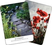 Buchcover und Innenansicht für das Buch: Earth Blessings Oracle Cards: Connect With the Healing Power of Nature a 48 Card Deck With Guidebook