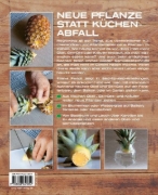 Buchcover und Innenansicht für das Buch: Regrowing -  Neue Triebe aus Obst- und Gemüseresten