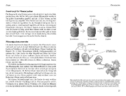 Buchcover und Innenansicht für das Buch: Beinwelljauche, Knoblauchtee & Co.