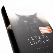 Buchcover und Innenansicht für das Buch: This is why we lied