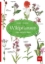 Buchcover und Innenansicht für das Buch: Wildpflanzen neu entdecken