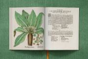 Buchcover und Innenansicht für das Buch: Besler. The Garden at Eichstätt