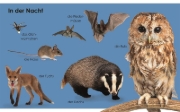 Buchcover und Innenansicht für das Buch: Erstes Lernen mini. Tiere