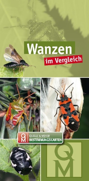Buchcover und Innenansicht für das Buch: Wanzen