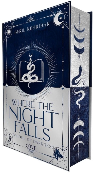 Buchcover und Innenansicht für das Buch: Where the Night Falls (School of Darkness 1)