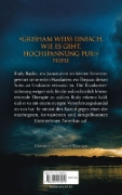 Buchcover und Innenansicht für das Buch: Der Regenmacher