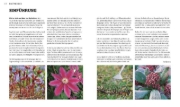 Buchcover und Innenansicht für das Buch: Das Gartenjahr
