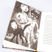 Buchcover und Innenansicht für das Buch: Im Zeichen der Zauberkugel 6: Die Macht des magischen Zirkels