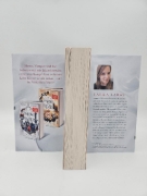 Buchcover und Innenansicht für das Buch: Night of Shadows and Flames - Der Wilde Wald