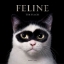 Buchcover und Innenansicht für das Buch: Feline