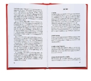 Buchcover und Innenansicht für das Buch: Machtübernahme