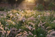 Buchcover und Innenansicht für das Buch: Mediterranes Gartendesign