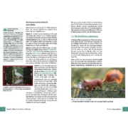 Buchcover und Innenansicht für das Buch: Fujifilm X-T30 III - Das umfangreiche Praxisbuch zu Ihrer Kamera