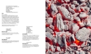 Buchcover und Innenansicht für das Buch: Fine Dining Grill & BBQ