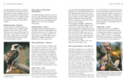 Buchcover und Innenansicht für das Buch: Das BLV Handbuch Vögel