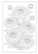 Buchcover und Innenansicht für das Buch: Blumen Malbuch für Erwachsene mit 50 schönen Ausmalmotiven