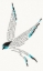 Buchcover und Innenansicht für das Buch: One Swallow Does Not Make a Summer