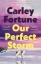 Buchcover und Innenansicht für das Buch: Our Perfect Storm