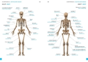 Buchcover und Innenansicht für das Buch: Wörterbuch Medizin Deutsch-Ukrainisch, Ukrainisch-Deutsch mit zweisprachigen Anatomietafeln
