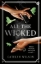 Buchcover und Innenansicht für das Buch: All The Wicked