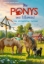 Buchcover und Innenansicht für das Buch: Die Ponys von Lillasund 4. Das Mittsommer-Turnier