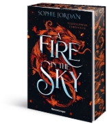 Buchcover und Innenansicht für das Buch: A Fire in the Sky, A Novel
