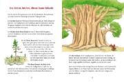 Buchcover und Innenansicht für das Buch: Der kleine Drache Kokosnuss - Mein erstes Wald-Buch