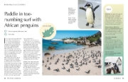 Buchcover und Innenansicht für das Buch: Lonely Planet The Joy of Birdwatching