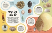 Buchcover und Innenansicht für das Buch: Aus dem Ei