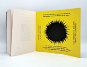 Buchcover und Innenansicht für das Buch: Narbenmädchen