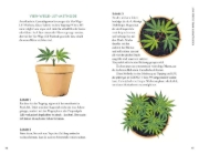 Buchcover und Innenansicht für das Buch: Cannabis