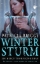 Buchcover und Innenansicht für das Buch: Winter Lost