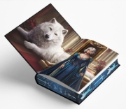 Buchcover und Innenansicht für das Buch: Fury Bound (Deluxe Limited Edition)