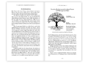 Buchcover und Innenansicht für das Buch: Natur-Resilienz