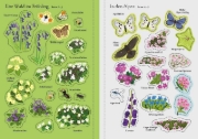 Buchcover und Innenansicht für das Buch: Mein Immer-wieder-Stickerbuch: Wildblumen