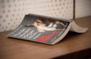 Buchcover und Innenansicht für das Buch: Hunde würden länger leben, wenn ...