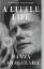 Buchcover und Innenansicht für das Buch: A Little Life