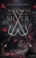 Buchcover und Innenansicht für das Buch: Darkness of Silver 1: Breaking Chains