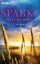 Buchcover und Innenansicht für das Buch: A Walk to Remember
