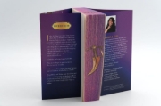 Buchcover und Innenansicht für das Buch: Dance of Stars and Ashes