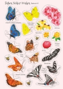 Buchcover und Innenansicht für das Buch: Mein Immer-wieder-Stickerbuch: Schmetterlinge