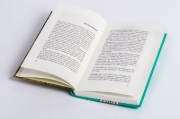 Buchcover und Innenansicht für das Buch: Am Meerschwein übt das Kind den Tod