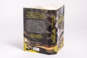 Buchcover und Innenansicht für das Buch: Sur la dalle