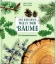 Buchcover und Innenansicht für das Buch: Die geheime Welt der Bäume