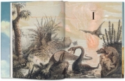 Buchcover und Innenansicht für das Buch: Paläo-Art: Darstellungen der Urgeschichte