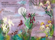 Buchcover und Innenansicht für das Buch: The Big Book of Blooms